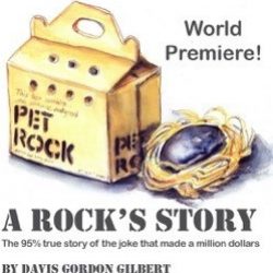 A Rock's Storycrop